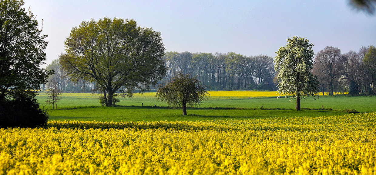 Frühling im Herzen